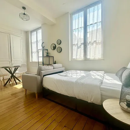 Le Themis, Cosy Et Elegant Apartment Limoges